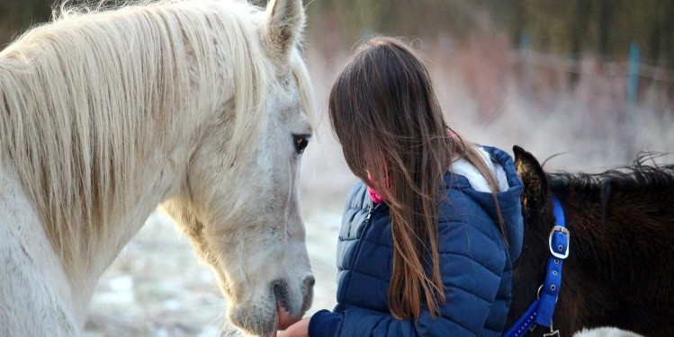 Pferd erkennt menschliche Emotionen